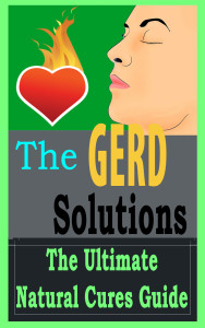 gerdsolutions17